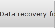 Data recovery for Chelsea data